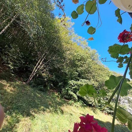 Apartament Garsoniera Flori - Sinaia Zewnętrze zdjęcie