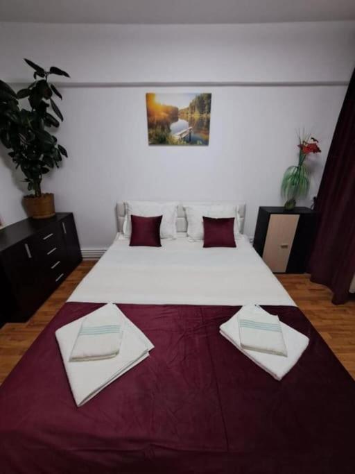 Apartament Garsoniera Flori - Sinaia Zewnętrze zdjęcie