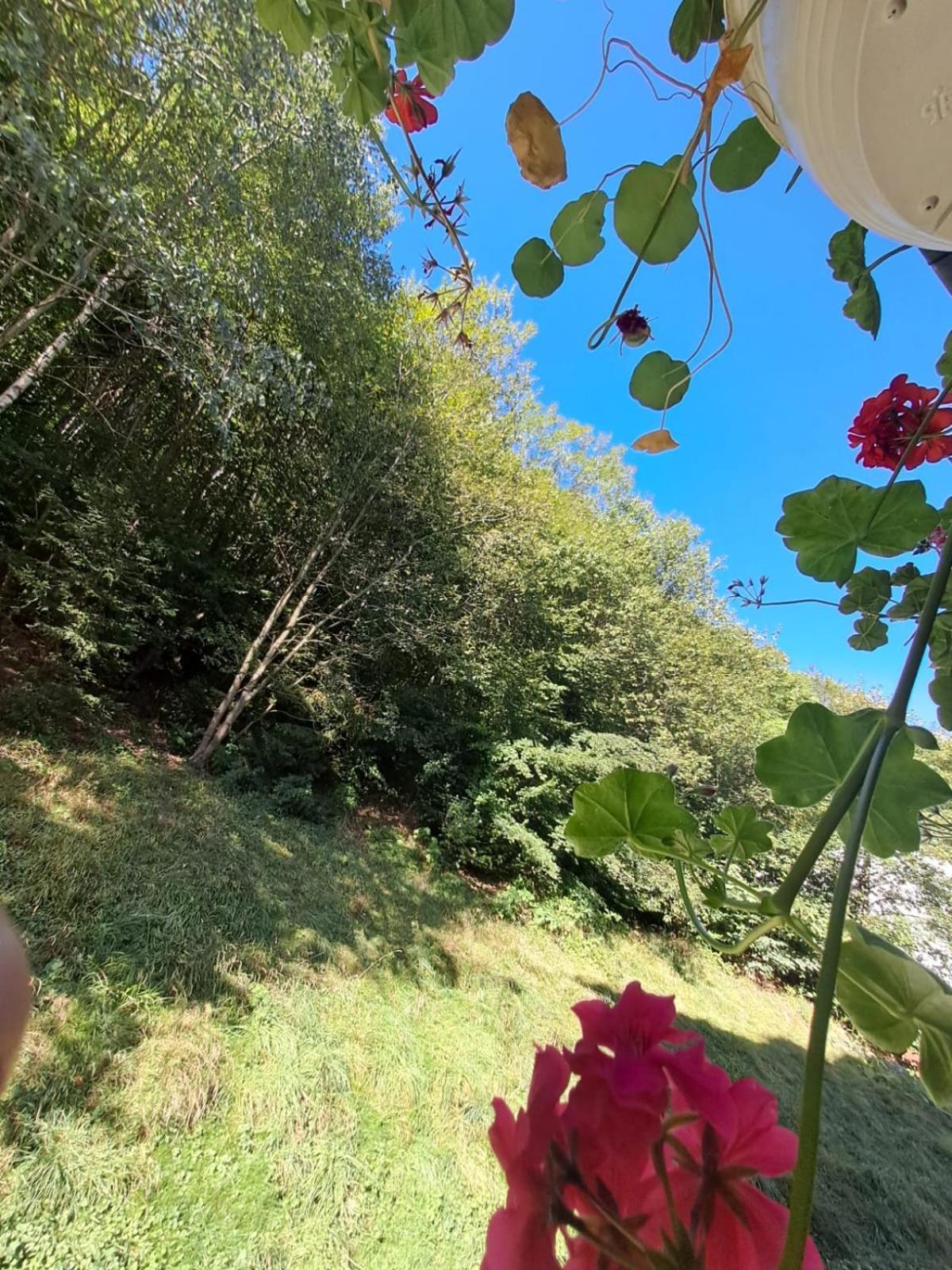Apartament Garsoniera Flori - Sinaia Zewnętrze zdjęcie